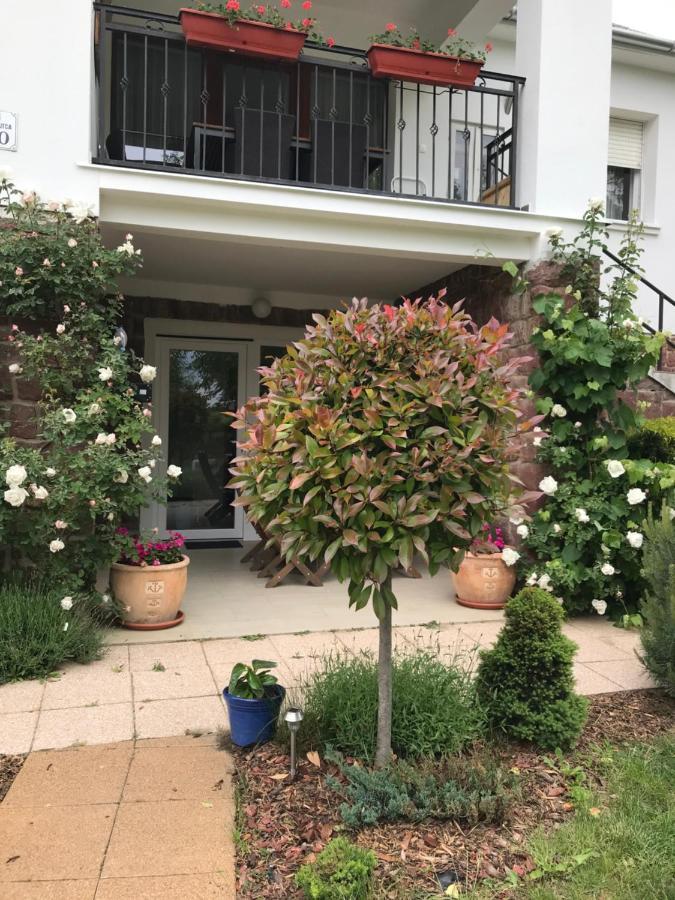 Levendula Apartmanhaz バダチョニトマイ エクステリア 写真