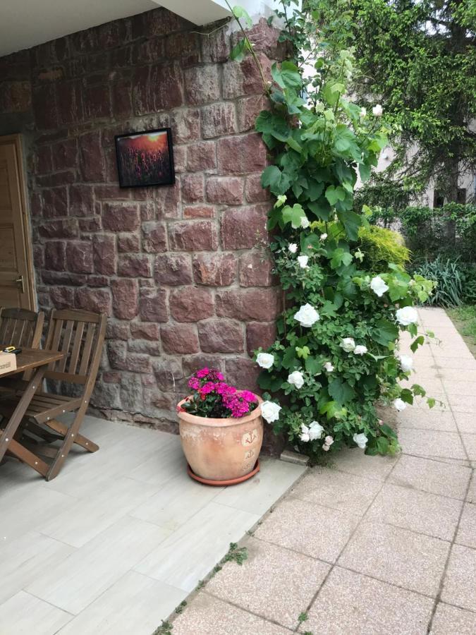Levendula Apartmanhaz バダチョニトマイ エクステリア 写真