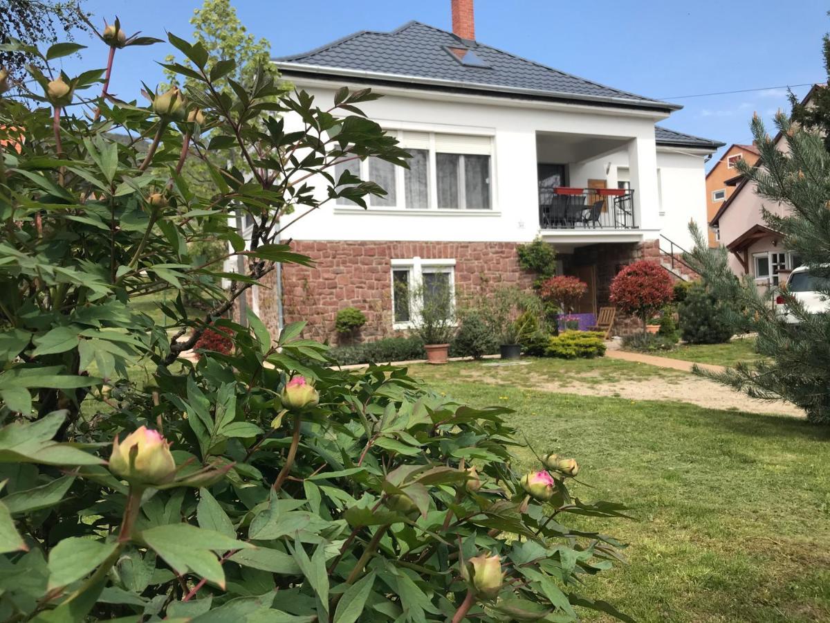 Levendula Apartmanhaz バダチョニトマイ エクステリア 写真