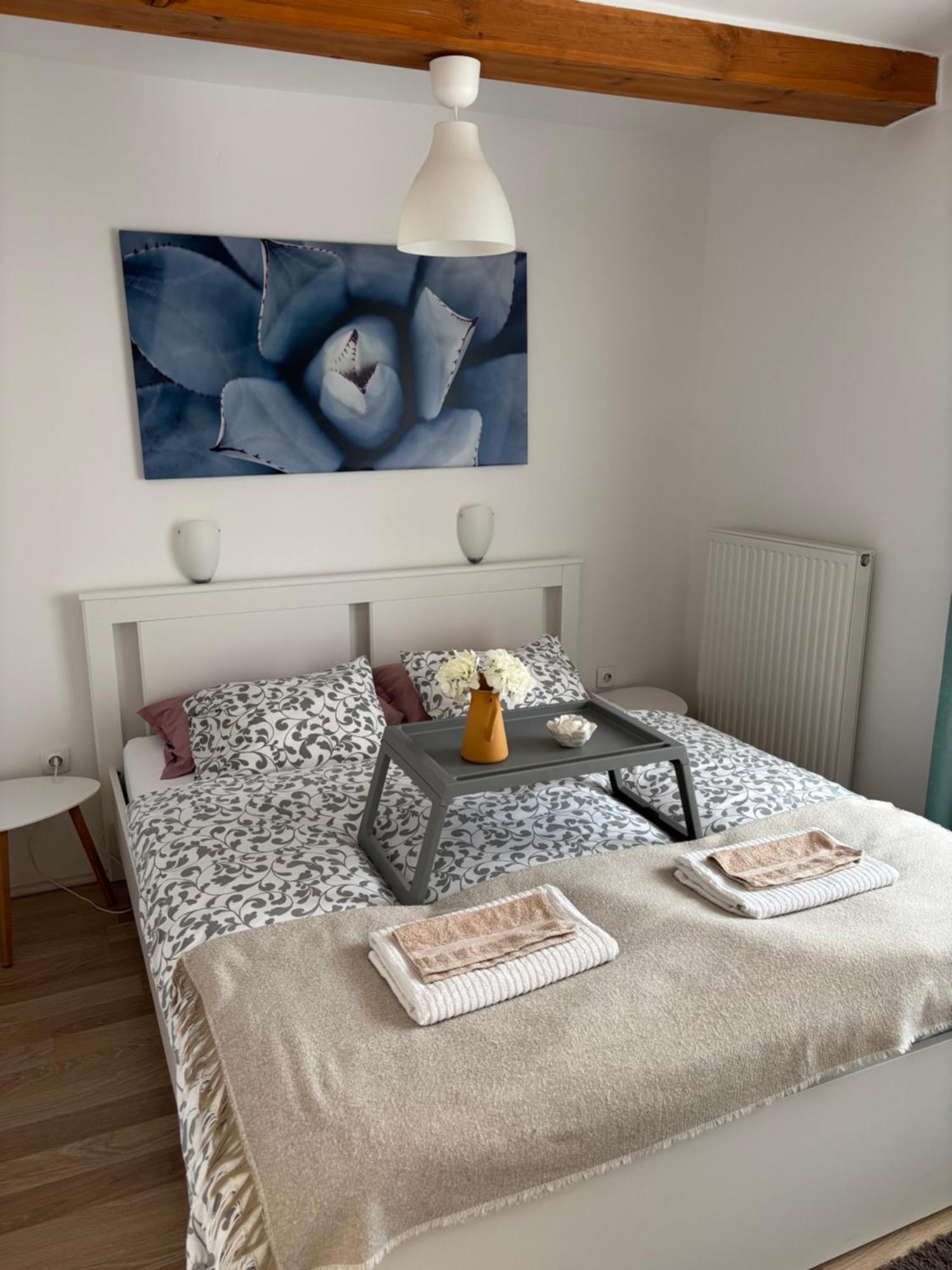 Levendula Apartmanhaz バダチョニトマイ エクステリア 写真