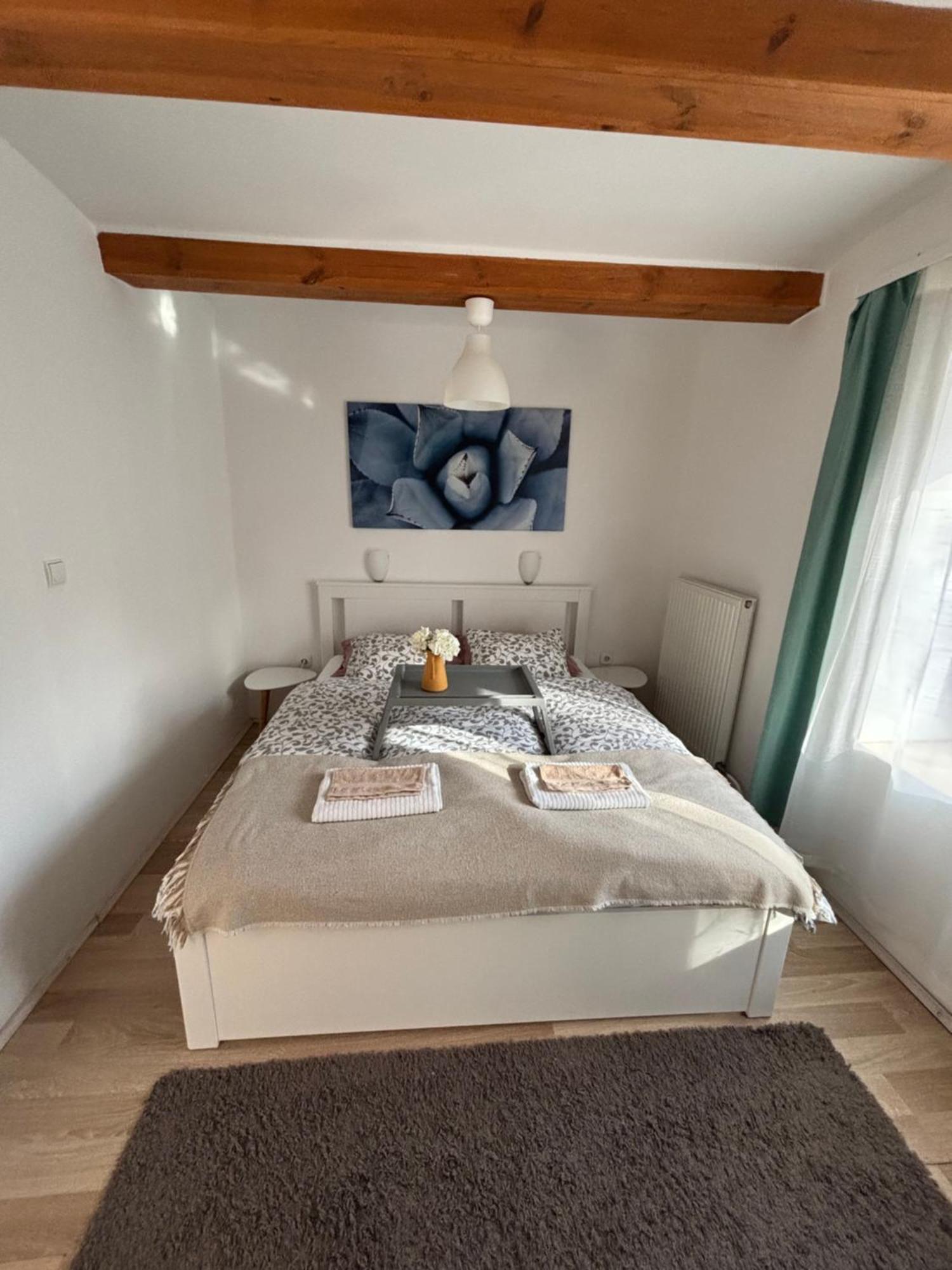 Levendula Apartmanhaz バダチョニトマイ エクステリア 写真