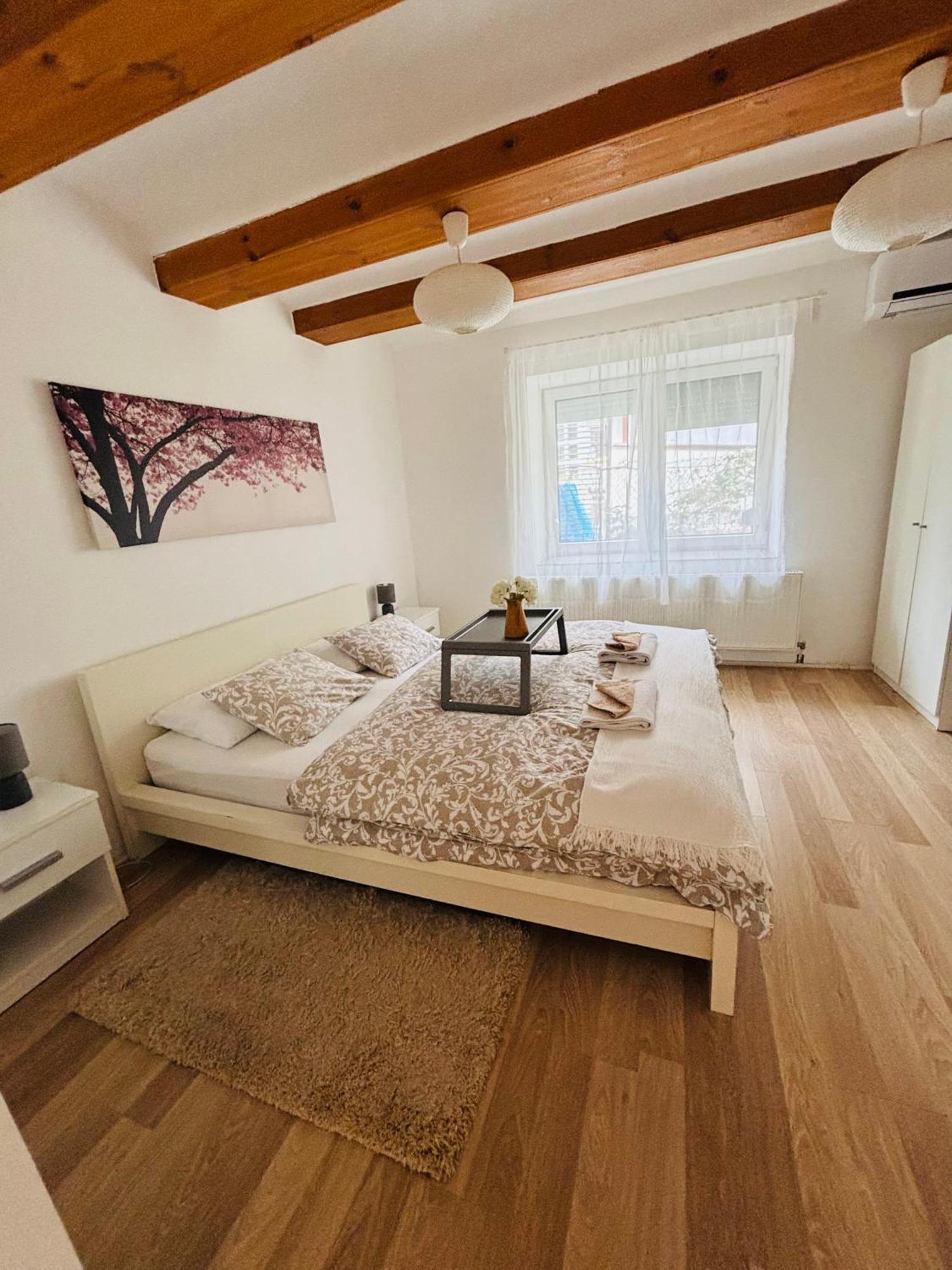 Levendula Apartmanhaz バダチョニトマイ エクステリア 写真