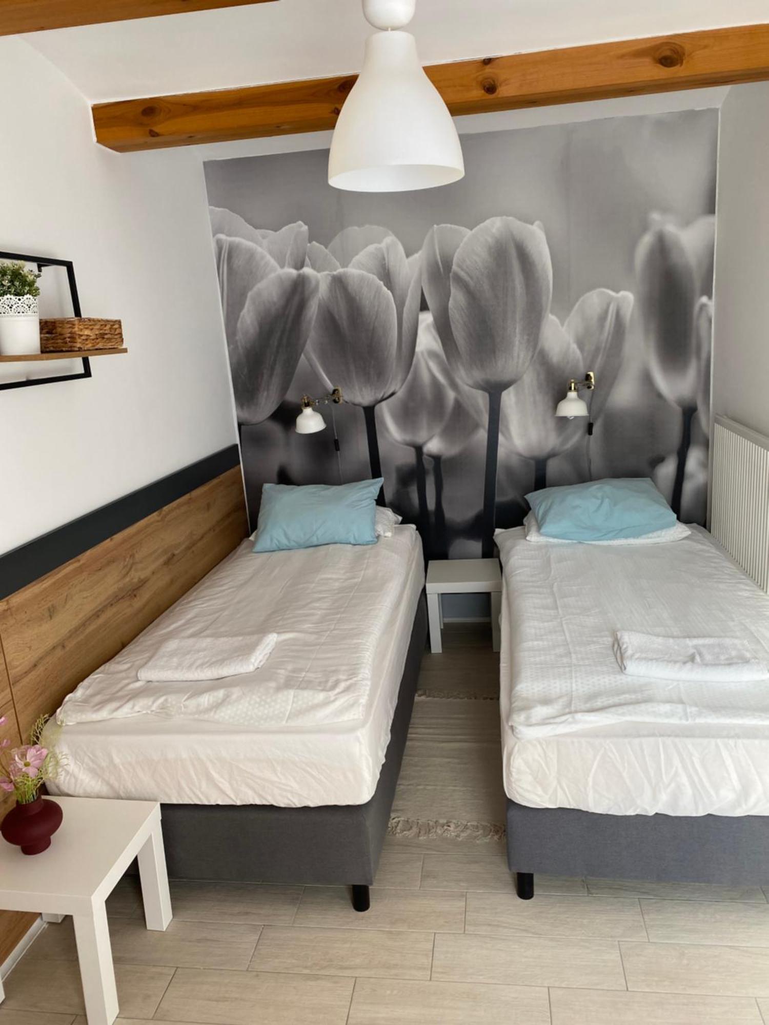 Levendula Apartmanhaz バダチョニトマイ エクステリア 写真